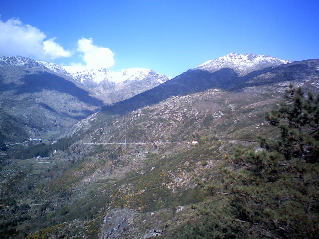 Crinas na garganta da Estrela