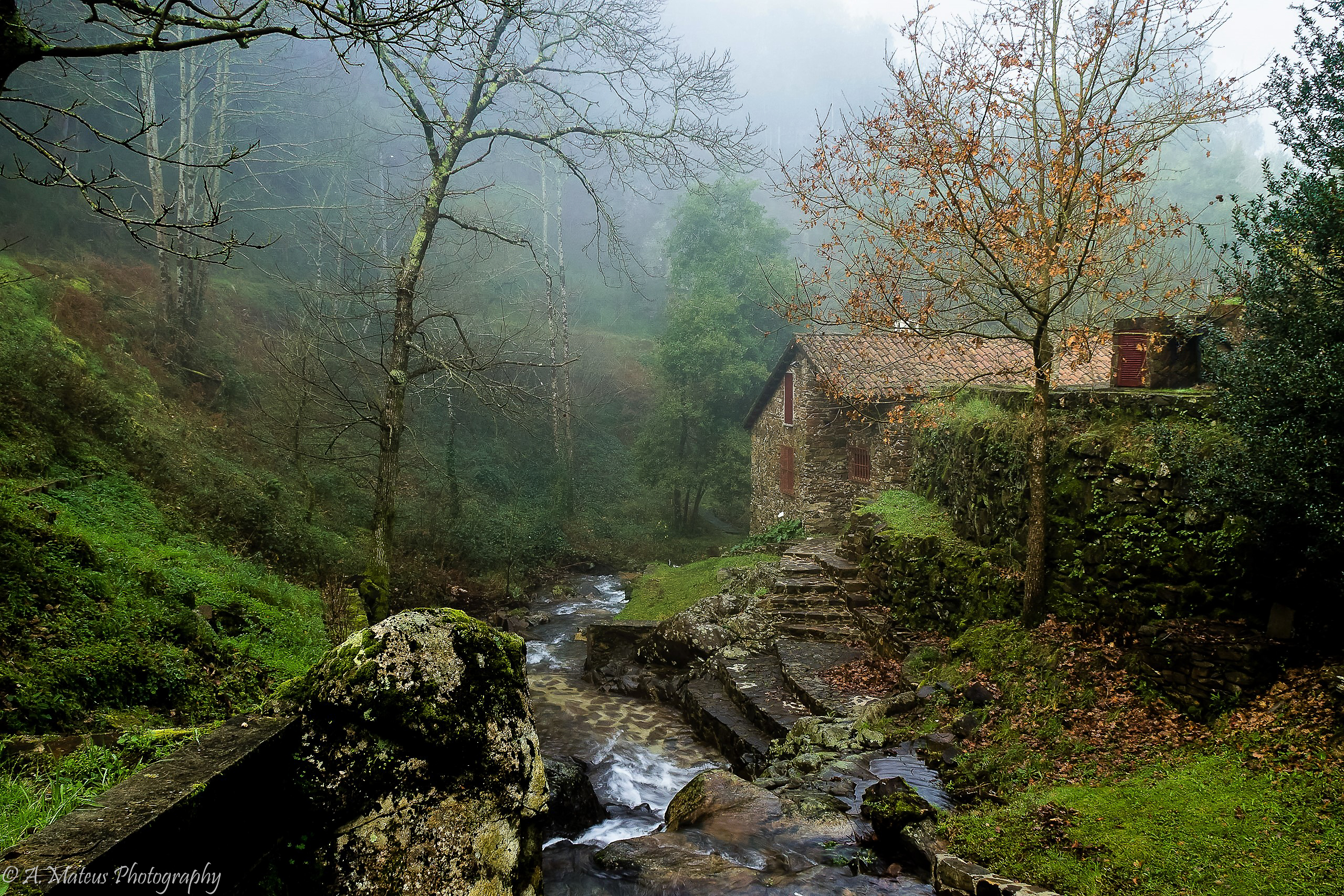 Ribeira de Tábuas Ribeira de Tábuas