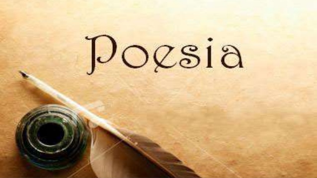 Poesia forma de ser Foto net