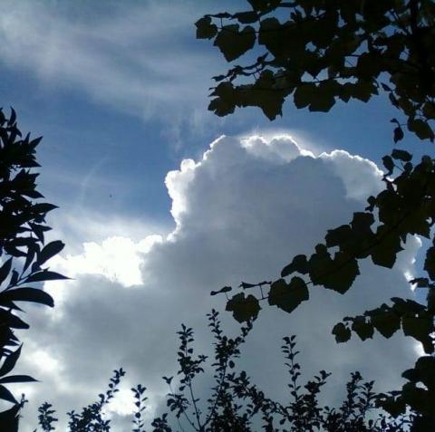 Antonio Poeta's picture