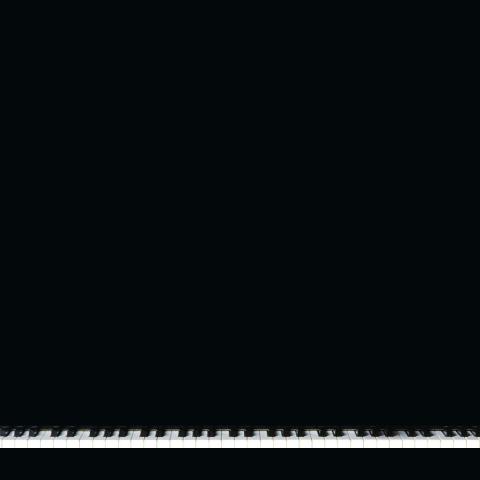 PianissiDue Projecto's picture