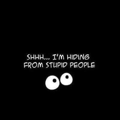 Fotografia de Nelson Moinheiro