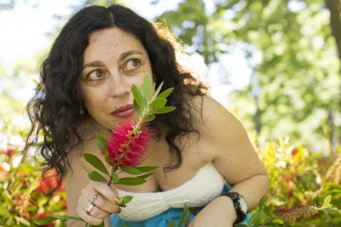 Fotografia de tuliparoxa