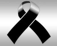 Fotografia de João Mendes