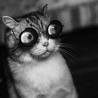 Fotografia de Fátima Chavarria