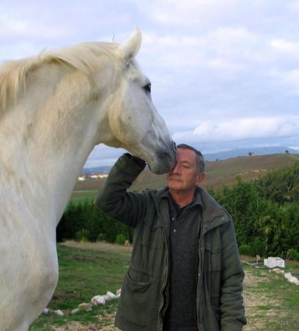 Fotografia de junquilho