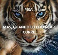 Fotografia de Olga Barbosa