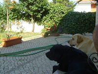 Fotografia de Maria Torcato