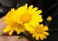 Maria Porto's picture