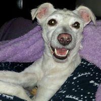 Fotografia de Maria Silva