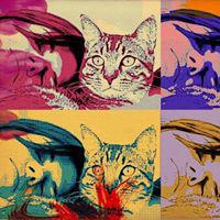 Sofia Figueira's picture