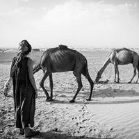 Maria Salgado's picture