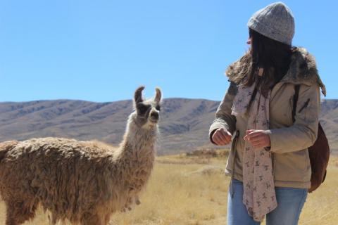 Fotografia de Joana Saavedra