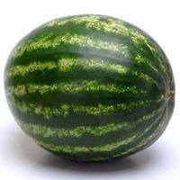 Hugo Piçarra's picture