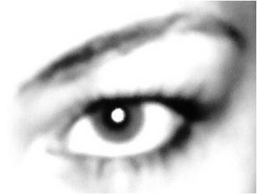 Luciana Oliveira's picture