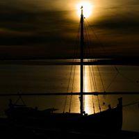 Fotografia de Maria Vitoria Correia