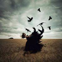 Dina Paiva's picture