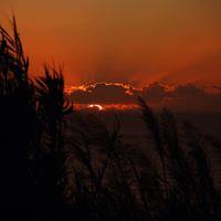 Fotografia de Joao Domingos