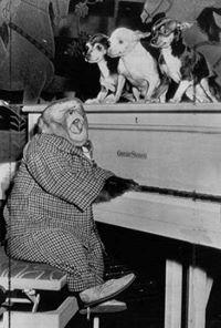 Nuno Gonçalves's picture