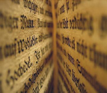 Fotografia de Silvia Almeida