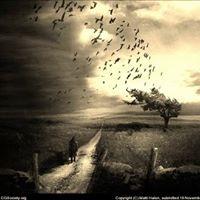 Jamil Alves El Alam's picture