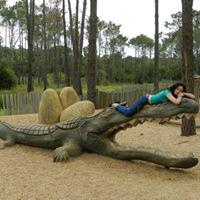 Ana Sofia Correia Videira's picture