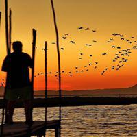 Fotografia de Amílcar Lança Pires