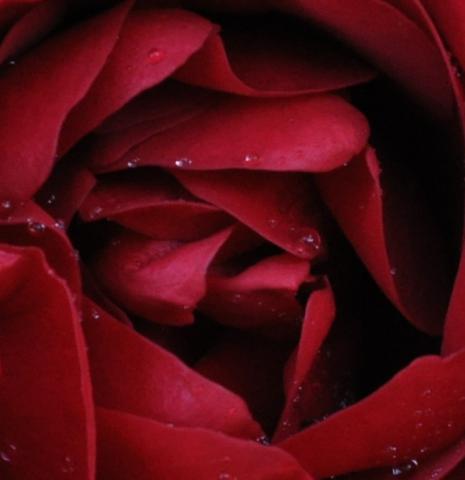 Maria Gonçalves's picture