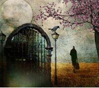 Fotografia de Yolanda Silva