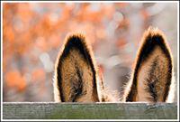 Fotografia de Mau Feitio