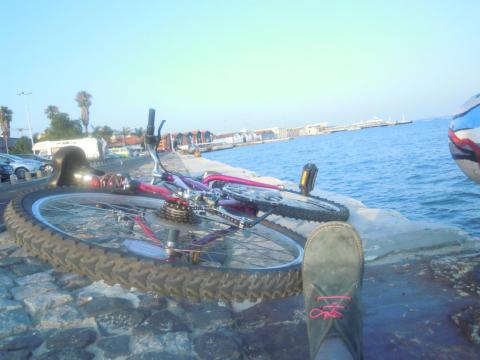 violetaveloz's picture