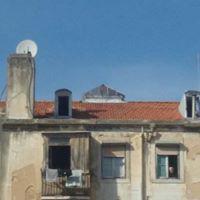 Sónia Cruz's picture