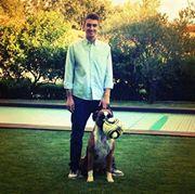 Agostinho Costa's picture