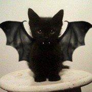 Fotografia de Eme João