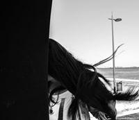 Fotografia de Patrícia Oliveira