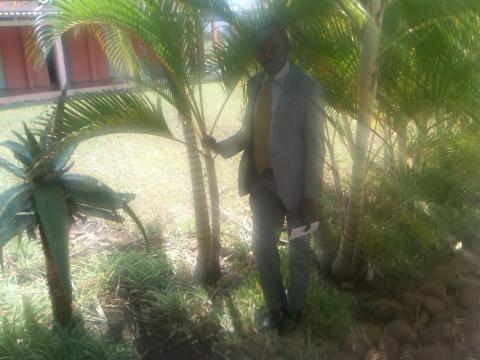 Filipe Alexandre Pedro's picture