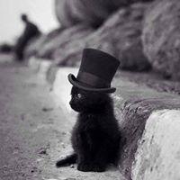 Ana Folhadela Figueiredo Pina's picture