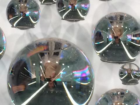 Maria João Padrão's picture