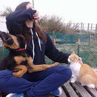 Fotografia de Catarina Arteaga