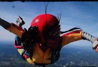 Isabel Avó's picture