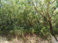 Luís Miguel Monteiro's picture