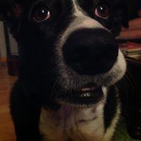 Teresa Antunes's picture