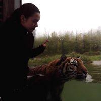 Andreia Garcês's picture