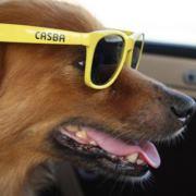 Fotografia de Bambina Viegas