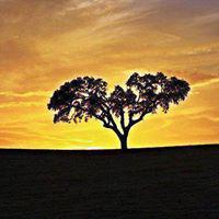 Domingos Xarepe's picture