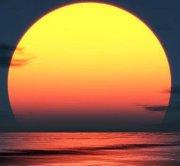 Sentimentos Do Ser's picture