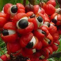 Paulo Maduro's picture