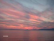 Petra Coral's picture