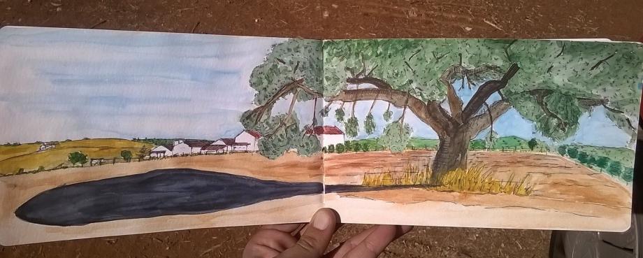 Alentejo Diário Gráfico, aguarela