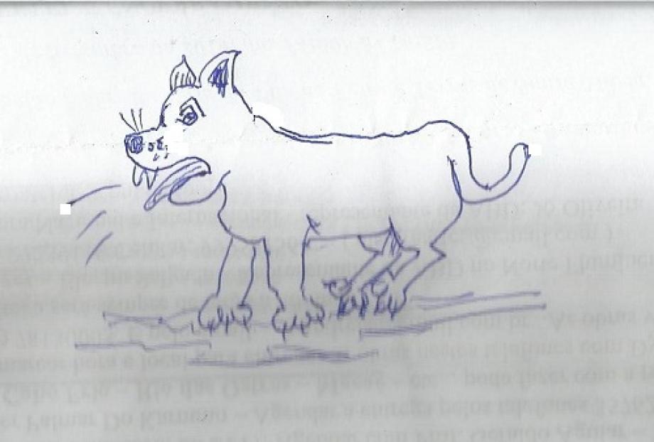 Delírio de um pequeno cão Cão Ladrão, ou seja, que muito ladra.